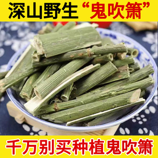深山野生中药材鬼吹箫500g 炮仗筒 空心木 云通 梅竹叶 叉活活 包