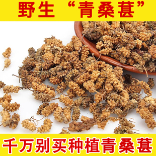 青桑葚野生中药材药用 桑葚干 生桑椹干 白桑葚干 青桑葚 500克