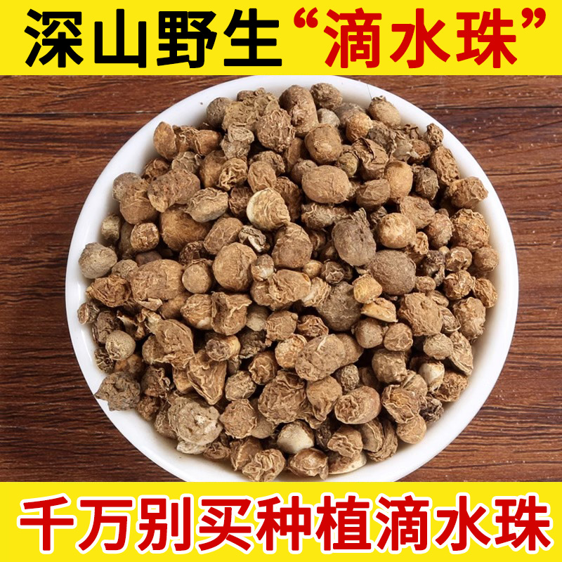 深山野生滴水珠中药材500g正品一粒珠石半夏一枝花一滴珠独龙珠