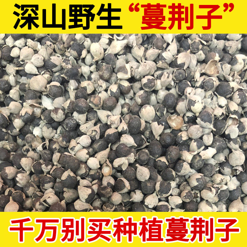 深山野生中药材蔓荆子500g 曼荆子 蔓荆实 蔓青子 万荆子 蔓荆粉