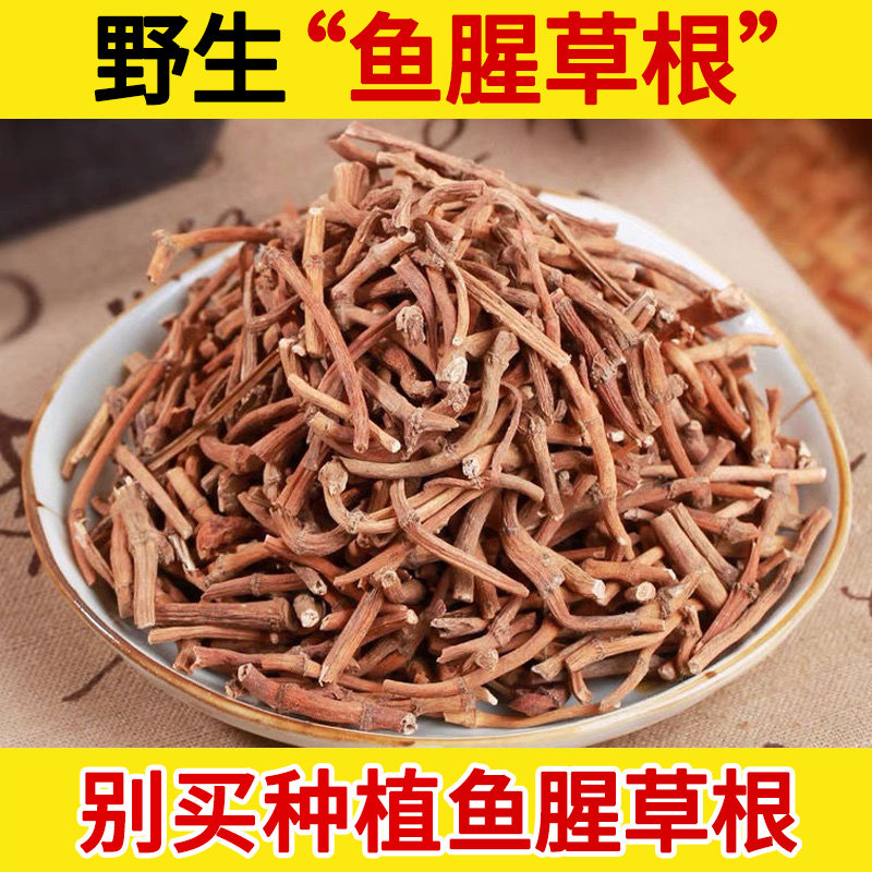 深山野生鱼腥草根中药材干根500g克 野生嫩芽晒干鱼腥草根草