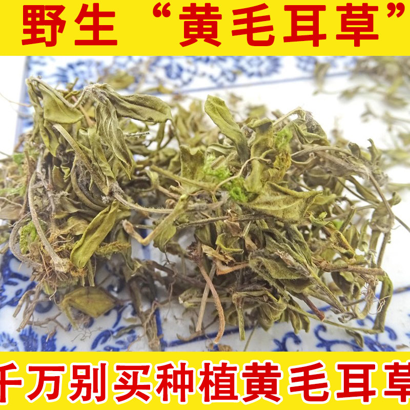 黄毛耳草 石打穿野生中药材500克 敷地两耳草 铜眼狮 地坎风
