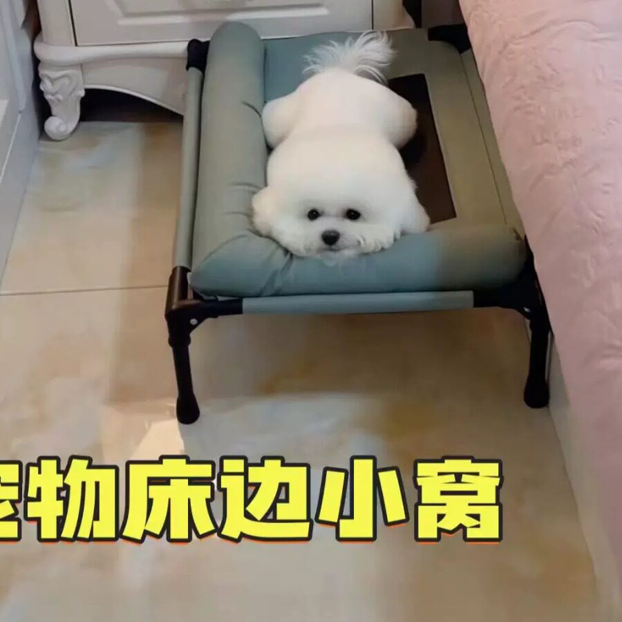 宠物行军床可拆洗猫床防潮带围边狗窝大型犬猫窝铁艺离地狗垫床