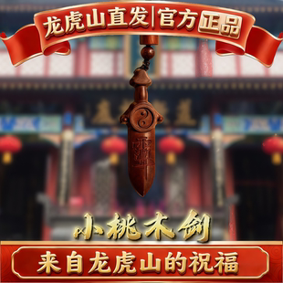 龙虎山直发雷击枣木紫薇七星剑真道家桃木剑小挂件吊坠婴儿童护符