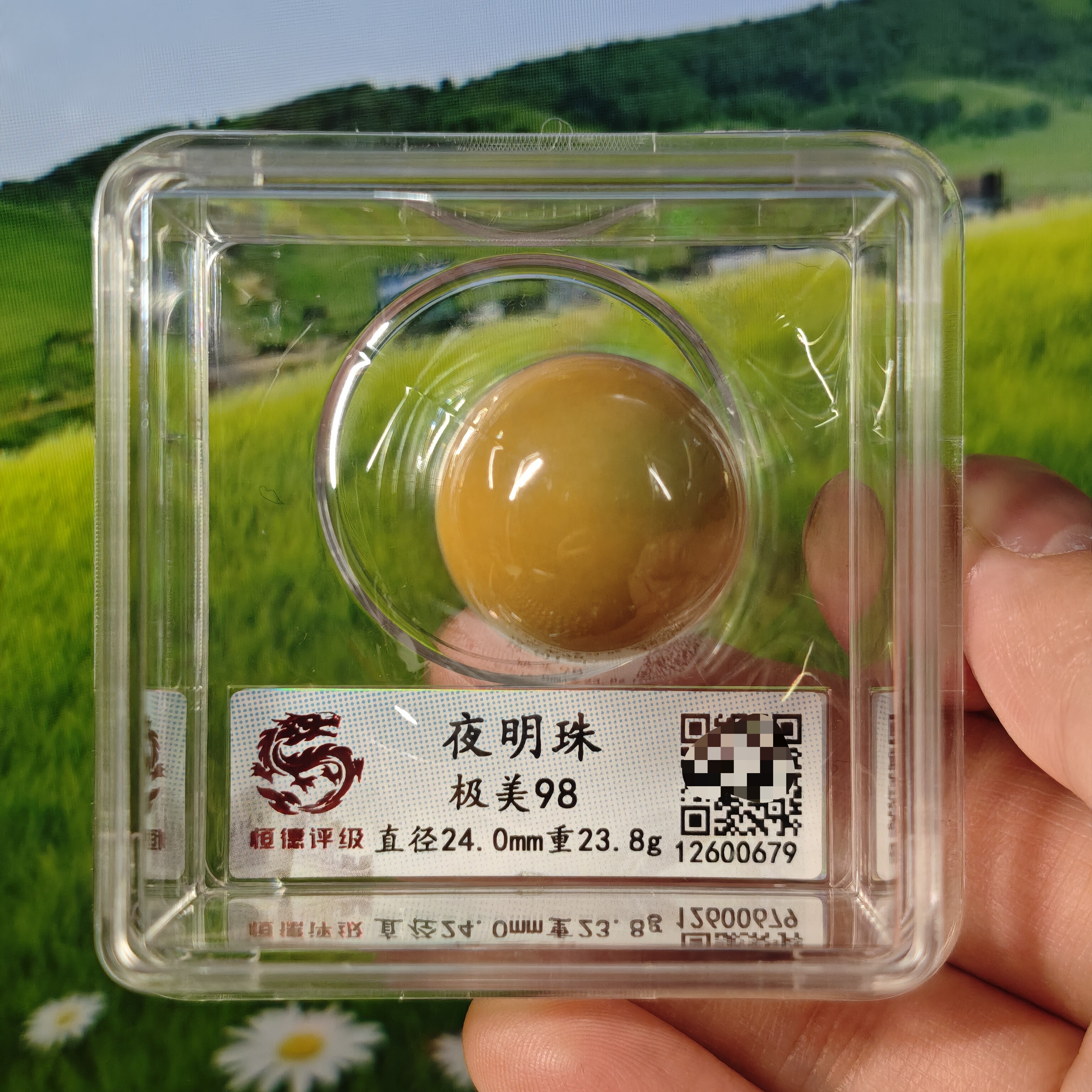 天然夜明珠天珠评级盒子币居家收藏送礼佳品极美98评级入盒24mm