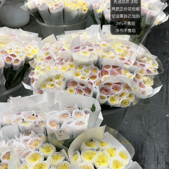 随机3把单头小菊盲盒  包邮不售后不指定,鲜花速递/花卉仿真/绿植园艺,鲜花速递(同城),淘宝优惠券,粉丝福利购,淘宝优惠卷