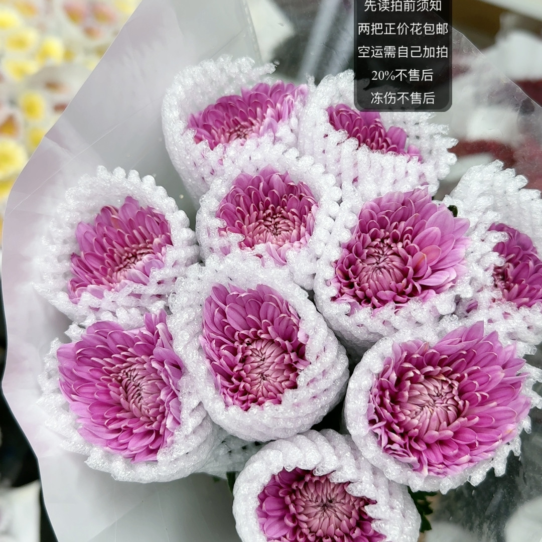 2号基地  单头粉暴富小菊 两链接包邮,鲜花速递/花卉仿真/绿植园艺,鲜花速递(同城),淘宝优惠券,粉丝福利购,淘宝优惠卷