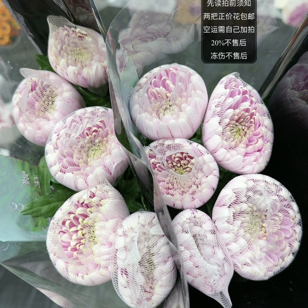 方德荷冠  罗斯安娜粉小菊  两链接包邮,鲜花速递/花卉仿真/绿植园艺,鲜花速递(同城),淘宝优惠券,粉丝福利购,淘宝优惠卷