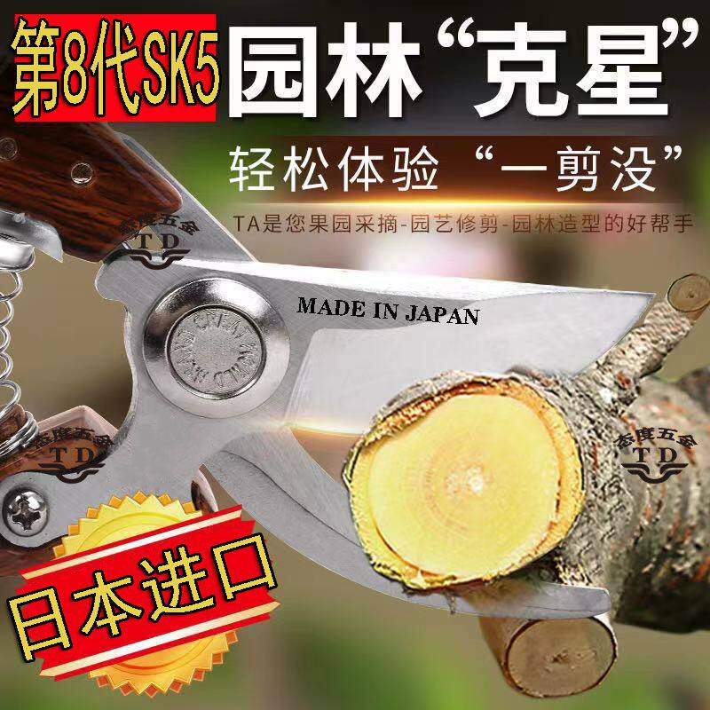 剪桔子专用剪刀园艺专用园林粗枝剪新款SK5修枝剪刀家用剪树枝剪