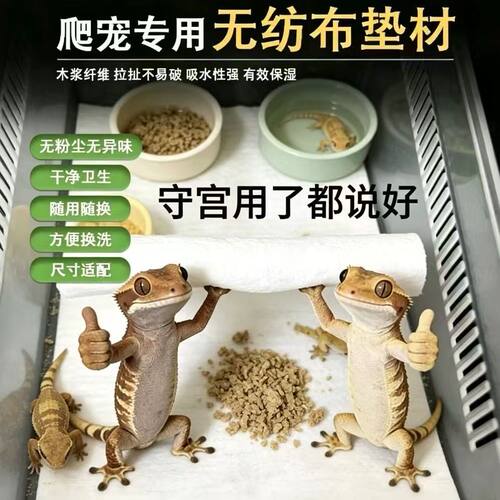 厨房纸爬宠垫料爬宠无纺布垫纸一次性守宫睫角蜥蜴陆龟垫材吸水保