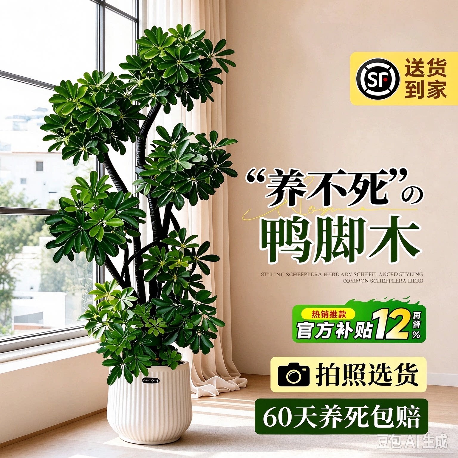 大型绿植造型鸭脚木客厅大盆栽