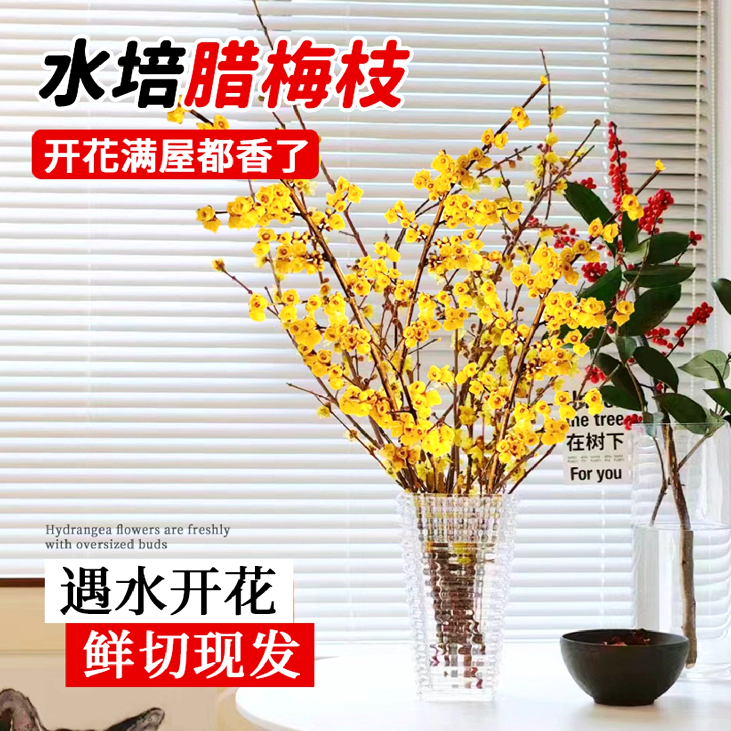 水培植物干支腊梅花鲜花家用插花鲜切花客厅室内懒人适合养的花卉