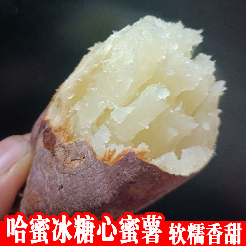 哈蜜冰糖心蜜薯红皮白心地瓜基地自种沙地番薯软糯烤红薯