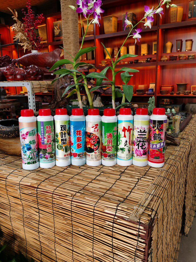 九州营养液植物通用型水培盆栽花卉绿萝富贵竹发财树液体养花肥料