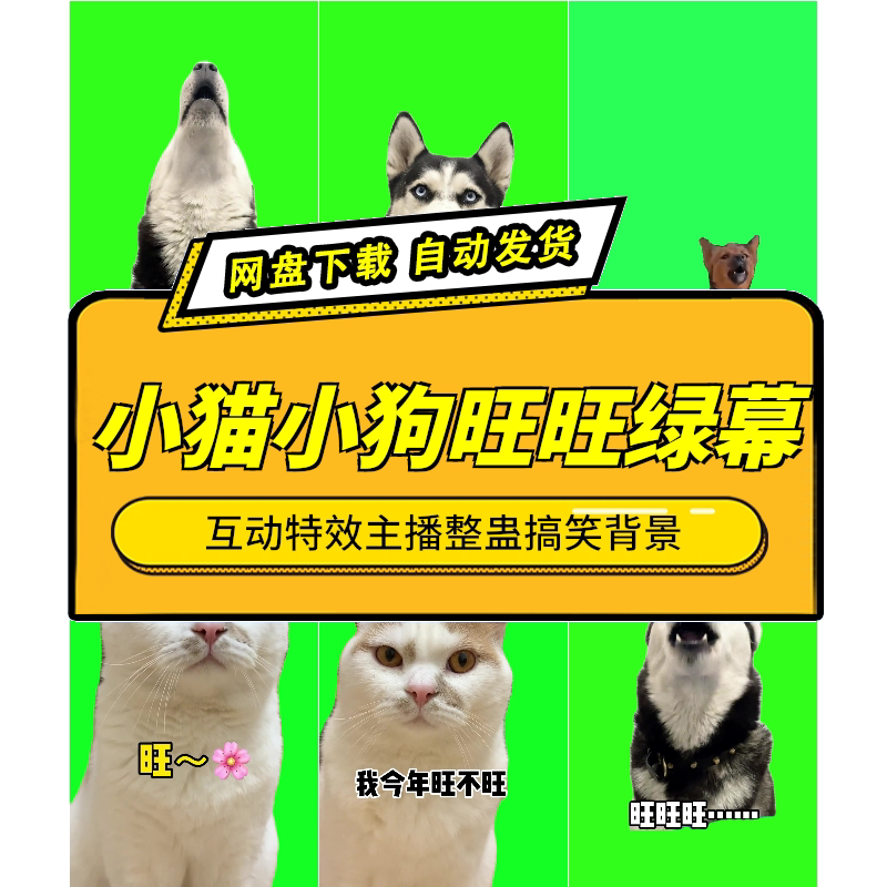 狗猫绿幕互动特效整蛊背景