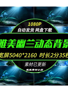 国风幽兰水面兰花高清视频素材