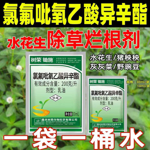 氯氟吡氧乙酸异辛酯水花生除草烂根剂空心莲子草强力除草剂正品a