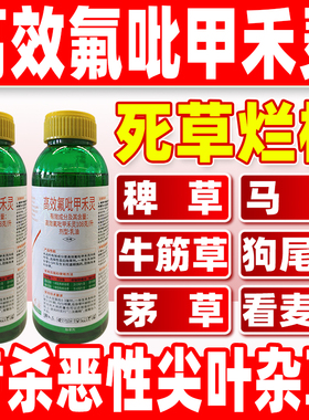 108克/升高效氟吡甲禾灵除草剂除禾本科尖叶杂草芦苇茅草烂根剂a