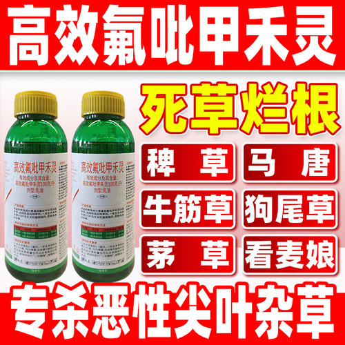 高效氟吡甲禾灵牛筋草尖叶除草剂