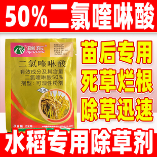 水稻苗后专用除草剂稗草克星50%二氯喹啉酸水稻稗草专用药瑞东