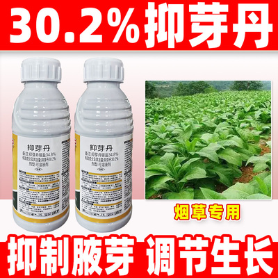 贵人道30.2%抑芽丹植物生长调节