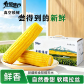 龙都集市雪疆金蜜糯玉米新疆甜糯玉米宝宝孕妇老人代餐煲汤玉米