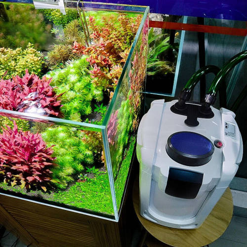 森森（SUNSUN）鱼缸过滤器水族箱外置过滤桶草缸过滤系统24W桶内