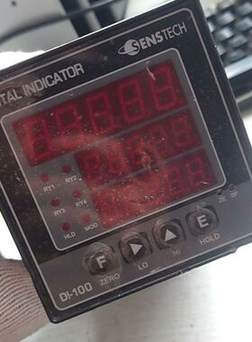 DI-100 韩国SENSTECH仪表 BCD通讯