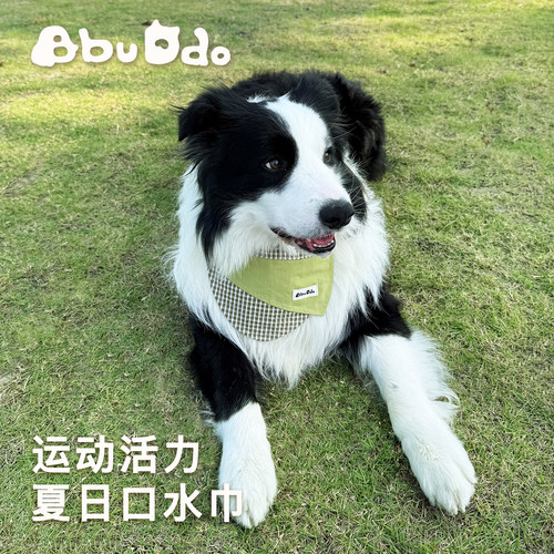 BBUDDO宠物口水巾可爱纯棉狗狗围兜猫咪围脖小狗口水巾防水生日