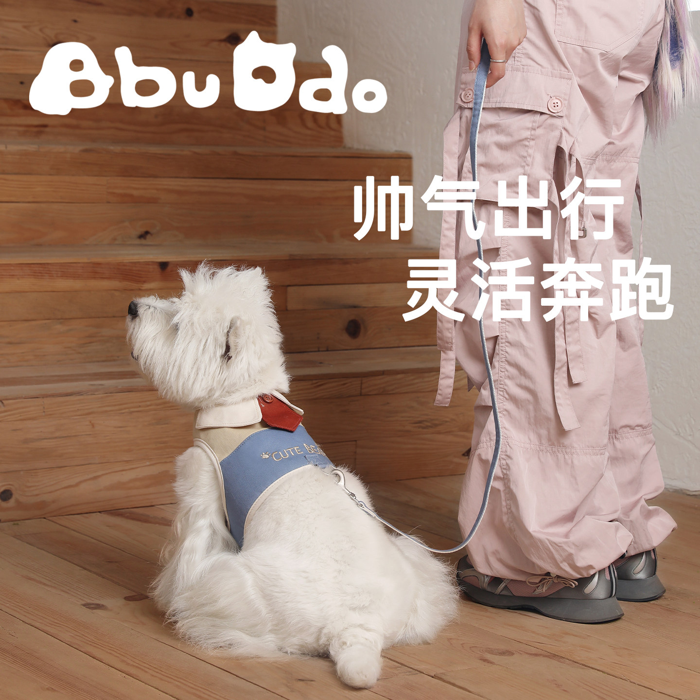 BBUDDO小熊宠物胸背狗狗猫咪出行背心外出遛狗中小型犬牵引绳