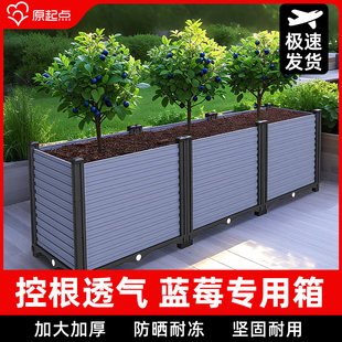 蓝莓树专用种植箱家庭长方形塑料花盆加深种菜盆果树竹子户外花箱