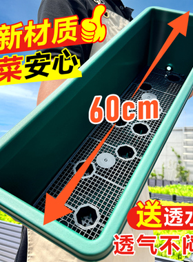 原起点花盆家用种菜专用阳台特大号长条霍伦盆蔬菜种植神器塑料箱