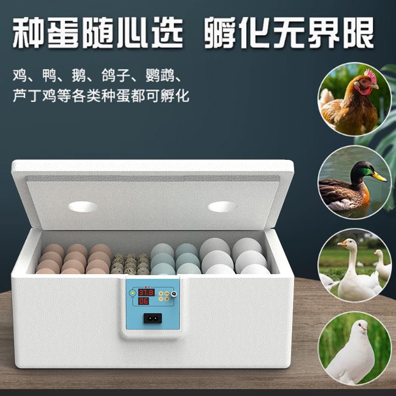 小鸡孵化器小型家用全自动智能孵蛋器迷你水床孵化机芦丁鸡孵化箱