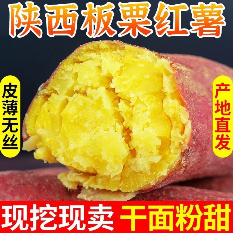 新鲜现挖陕西板栗薯粉面香甜