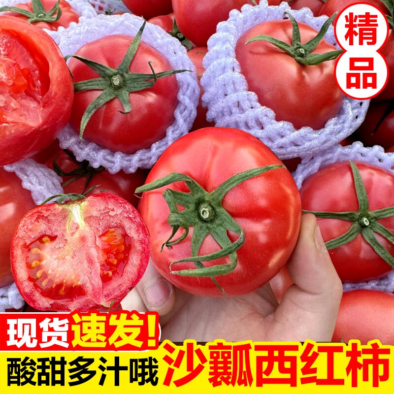 正宗老品种沙瓤西红柿