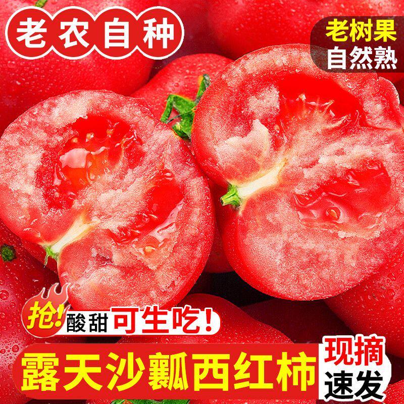 正宗老品种沙瓤西红柿
