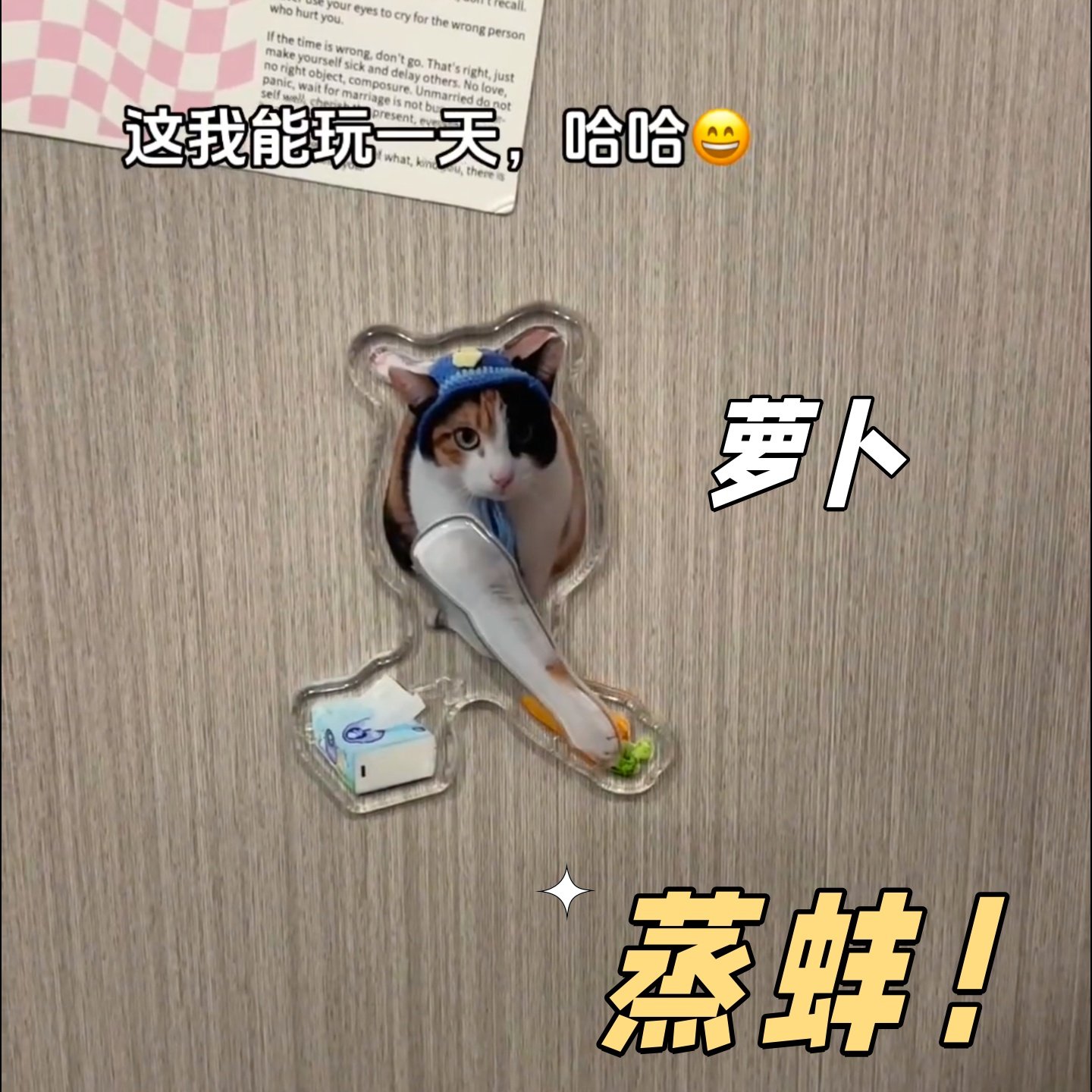 超级无敌大开门猫萝卜纸巾猫冰箱贴真棒创意亚克力磁吸贴饰送朋友,家居饰品,冰箱贴,淘宝优惠券,粉丝福利购,淘宝优惠卷