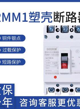 RMM1空气开关 塑壳外壳式断路器225A400A 630A80A 100A NM1 CM1