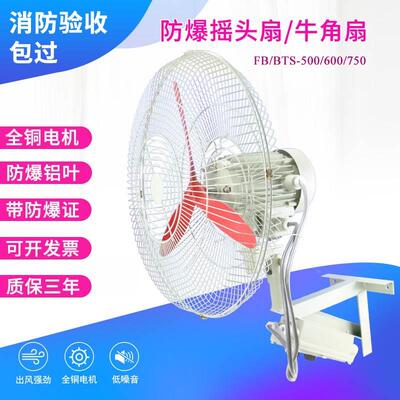 壁式落地式防爆摇头扇FB/BTS-500/600/750化工厂防爆电风扇牛角扇