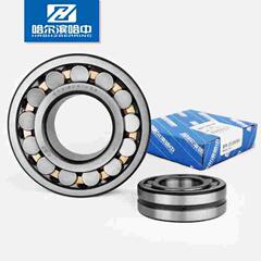 22309CA CAK/W33 53609 153609调心滚子轴承双列哈尔滨哈中HZB