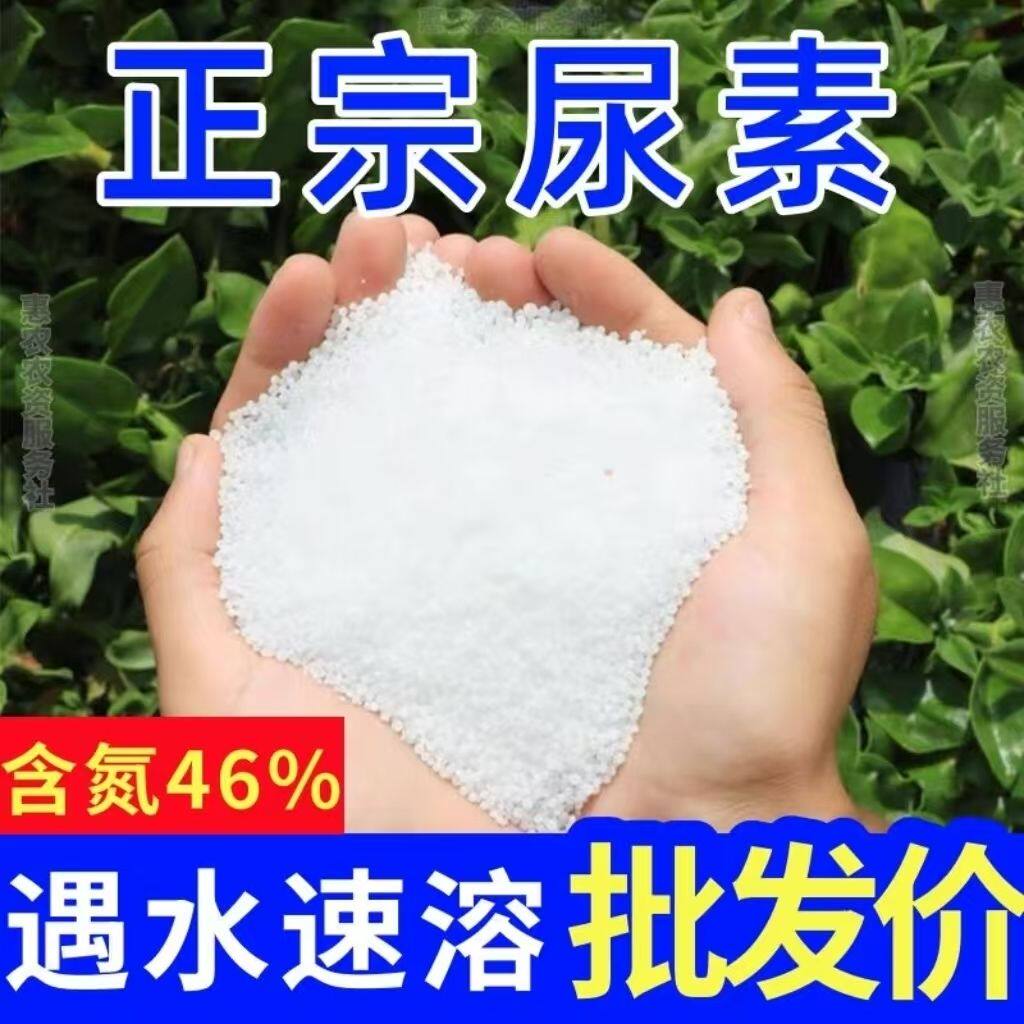 正宗小颗粒尿素蔬菜有机