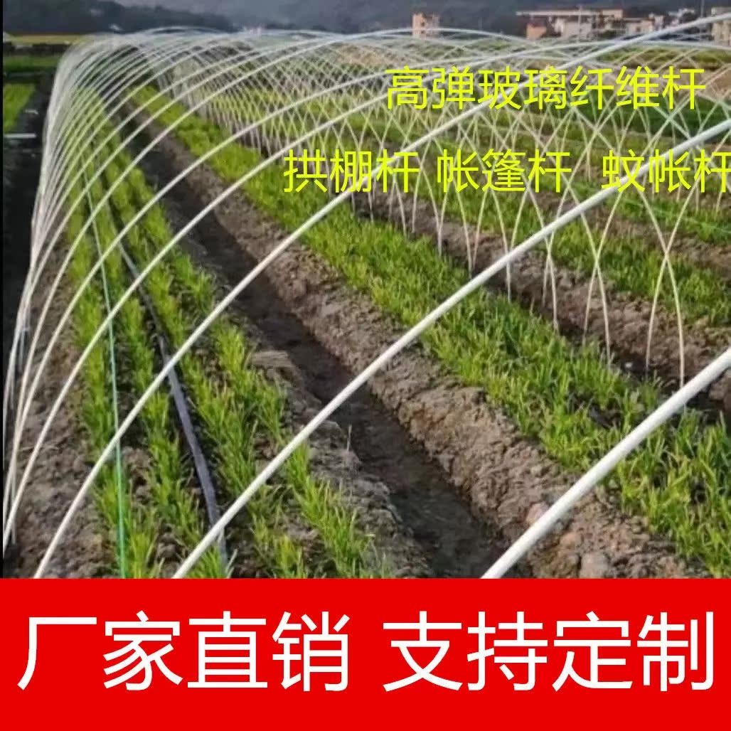 20根小拱棚支架拱杆竿大棚内棚套棚骨架玻璃纤维杆地膜园艺农用业