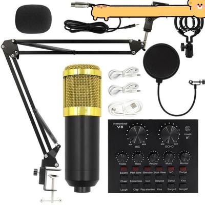 Bm800 condenser microphone + V8 sound card computer recordin