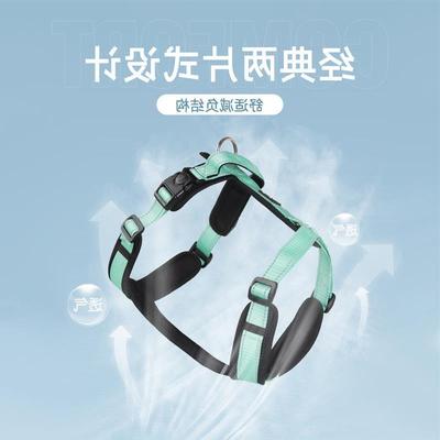 Dog leash for walking small and medium sized dogs