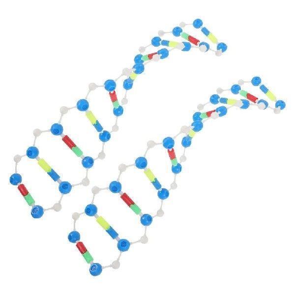 2 Pcs Double Helix Structure Model Models Plastic Kits Dna