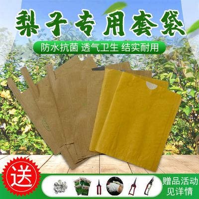 梨子专用套袋神器保护袋防鸟防果