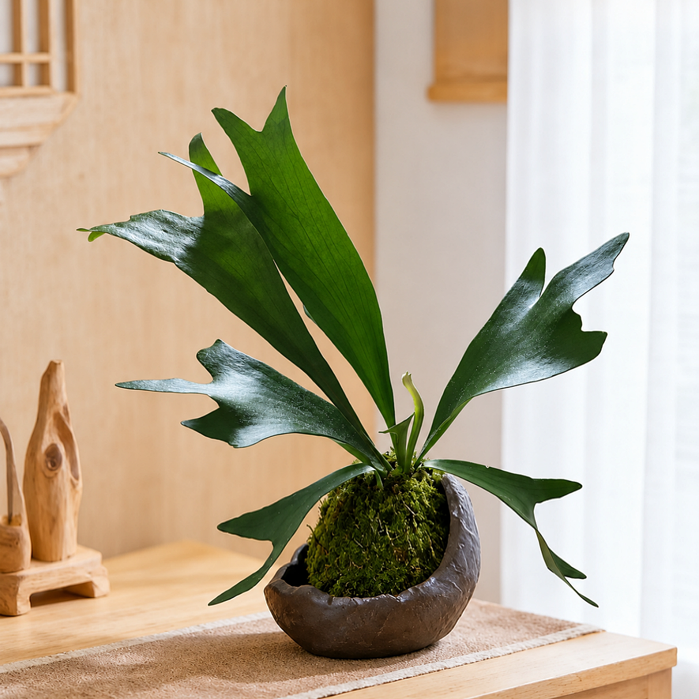 壁挂鹿角蕨苔藓球挂墙绿植室内桌面家居小盆栽中古装饰风摆件植物