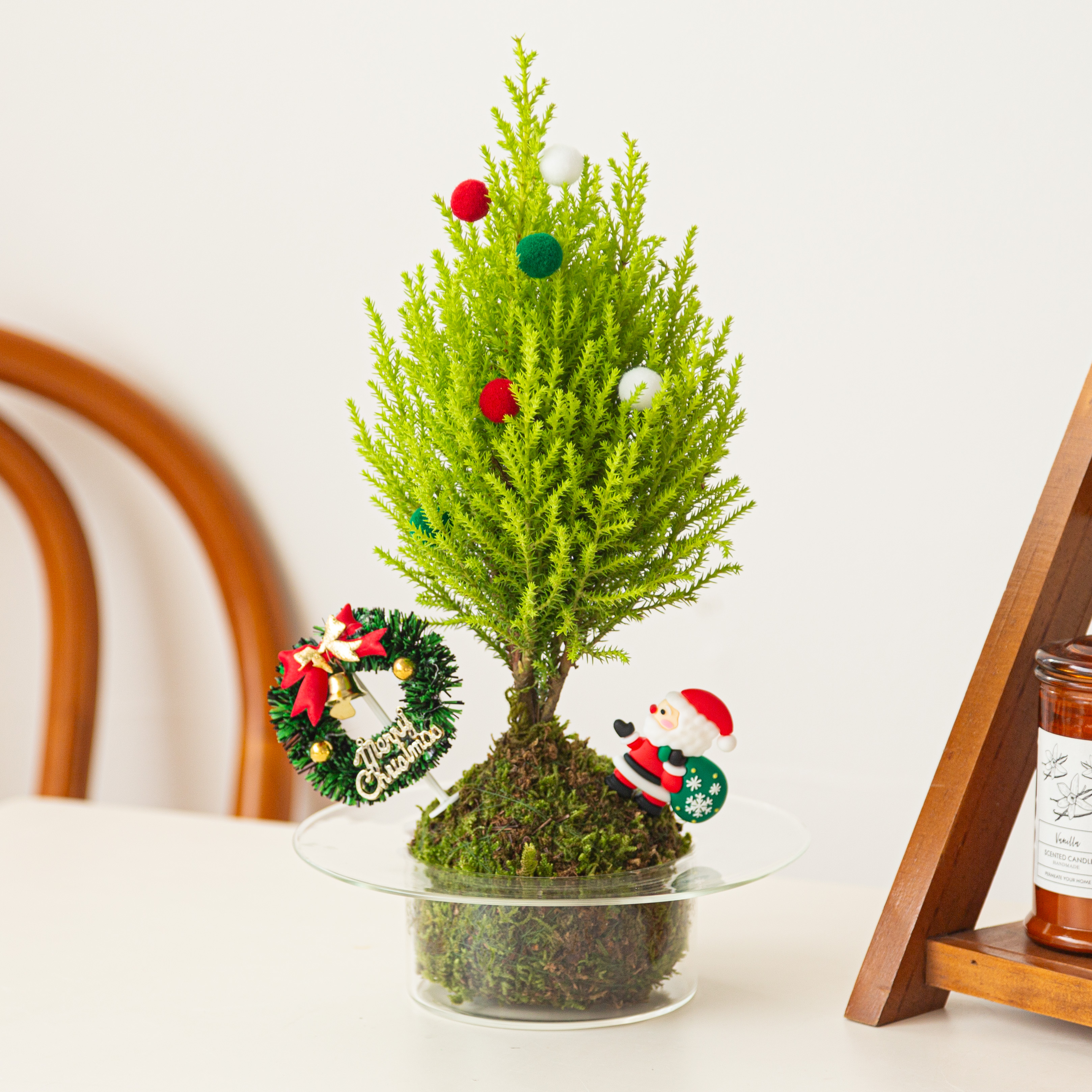 圣诞树小香松室内客厅苔藓球绿植盆栽放轻松送人礼物圣诞装饰摆件