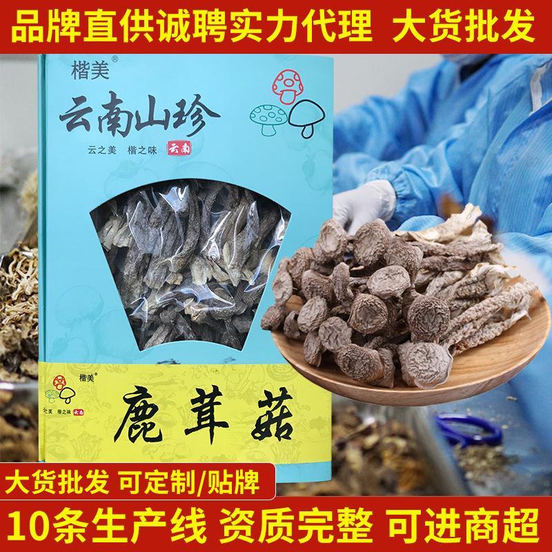 云南特产鹿茸菇菌类干直销