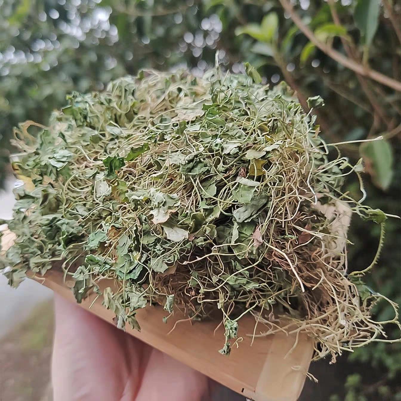 包邮云南源头草药马蹄金小叶金钱草天然无硫小金碗草荷包草黄胆草